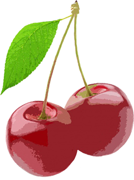 cherry fruit drawing