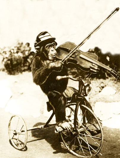 vintage photo of chimp playing the violin