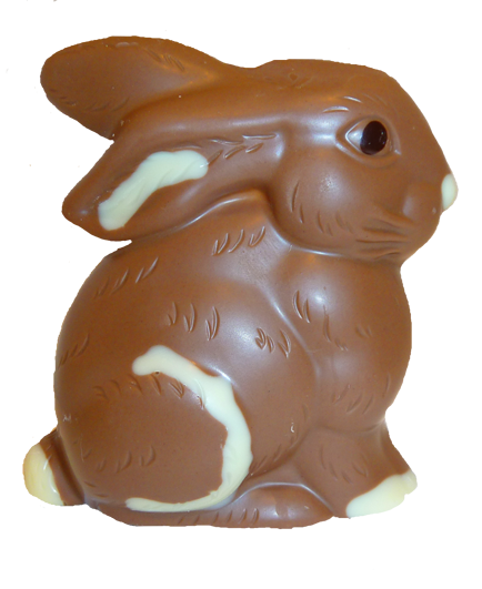 chocolate Easter bunny image
