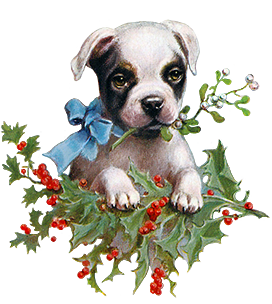 Cute Christmas dog with mistletoe