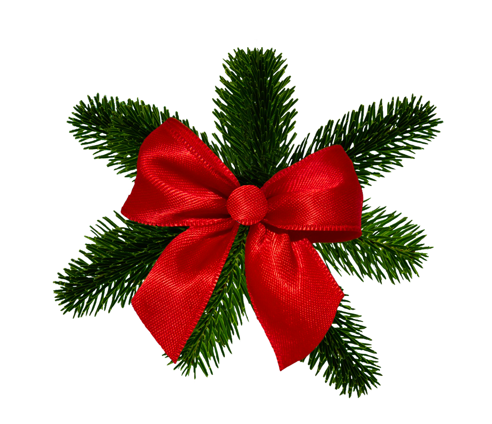 Christmas bow and spruce