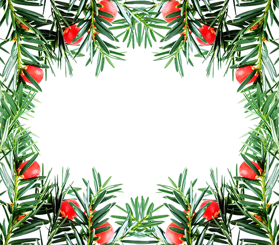 Christmas frame red berries