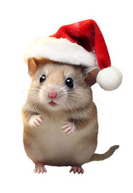 Christmas mouse with Santa hat