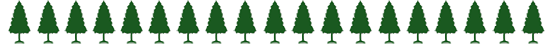 Christmas tree pine border