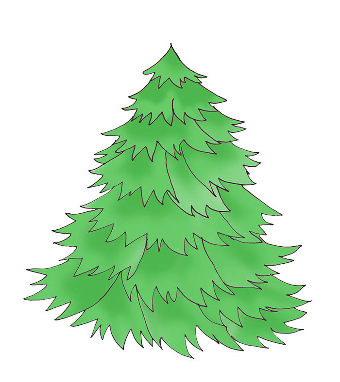Christmas tree without decorations green
