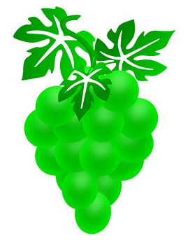 cluster of grapes drawing green