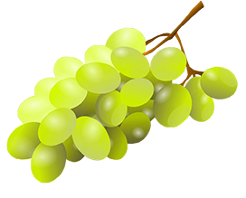 cluster of green grapes drawing clipart