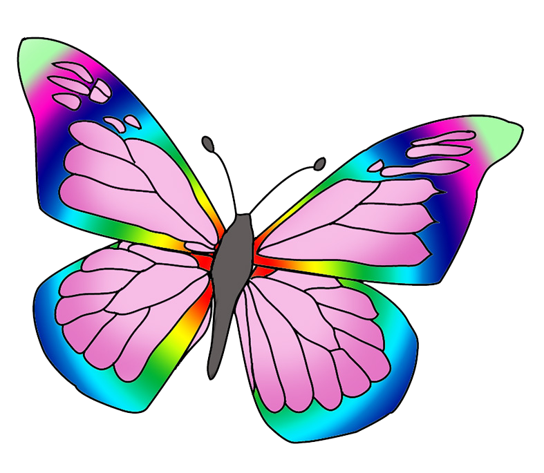 Beautiful Butterfly PNG Image, Bohemian Beautiful Butterfly, Butterfly  Drawing, Beautiful Butterfly Drawing, Fly Drawing PNG Image For Free  Download