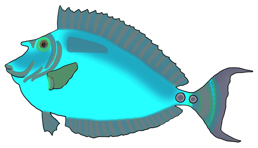 colorful blue green fish