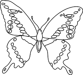 coloring sheet butterfly
