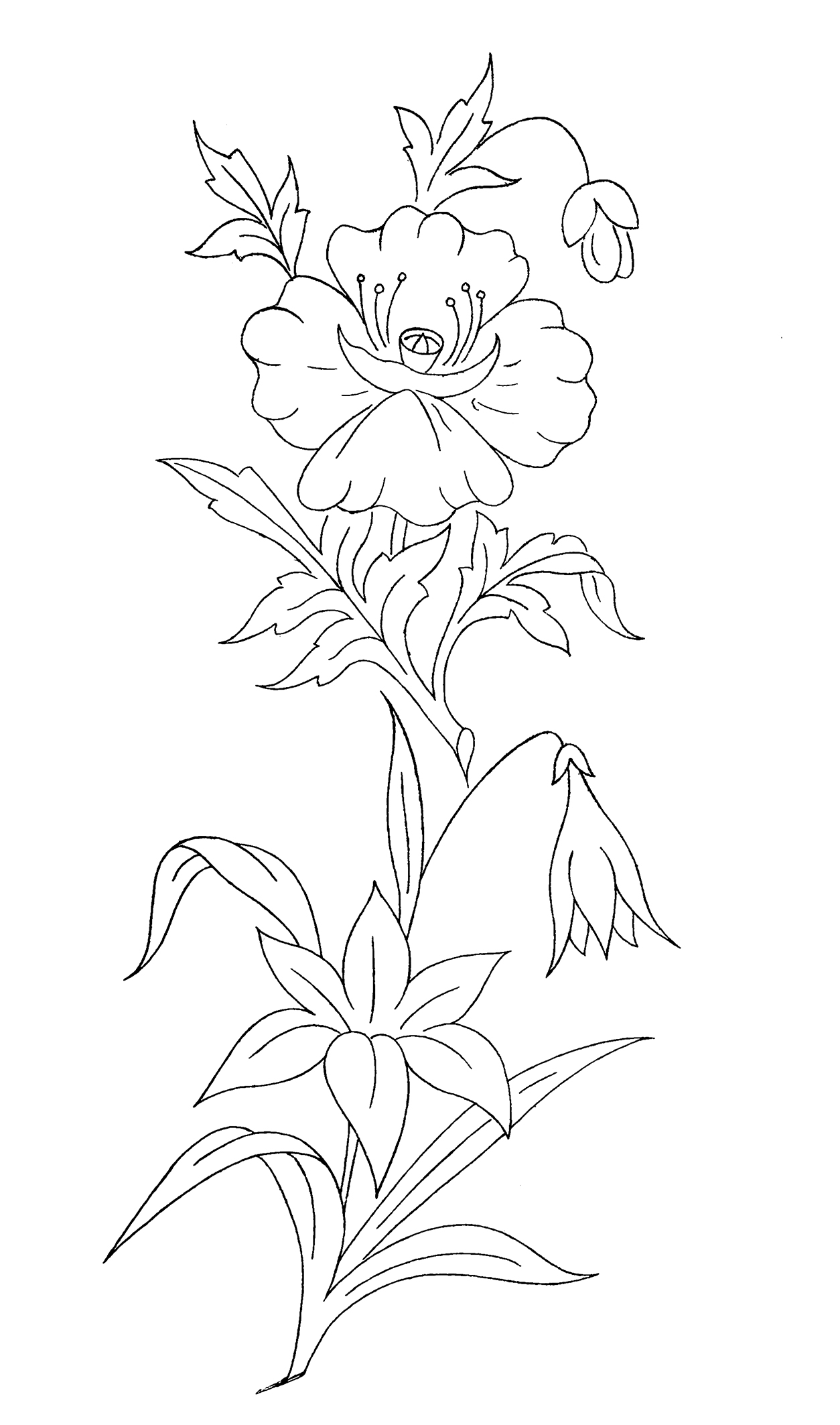 coloring sheet with different flowers