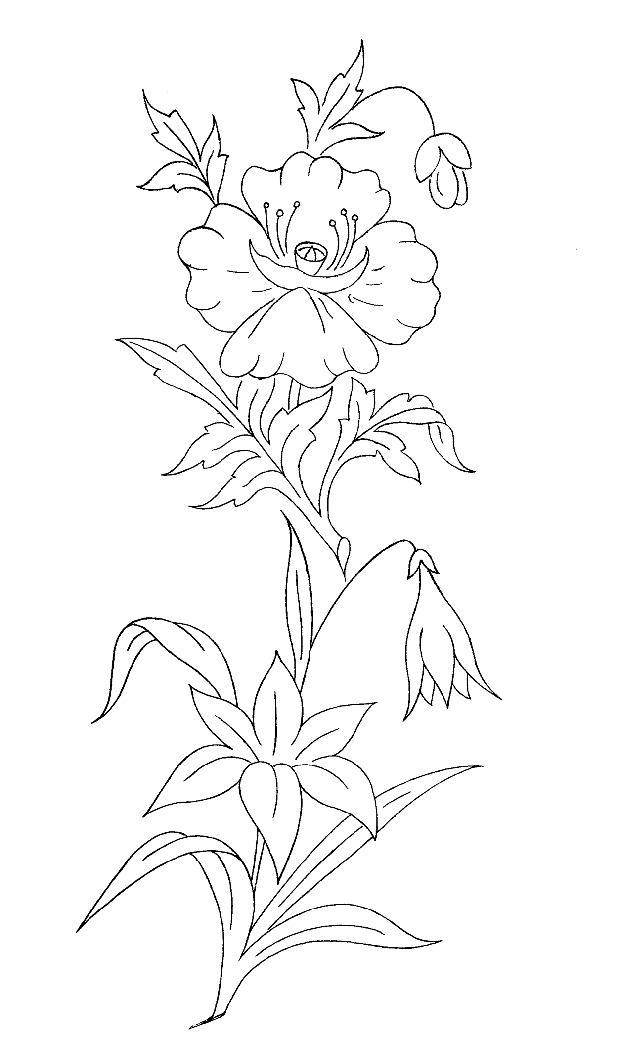 Flower Coloring Pages