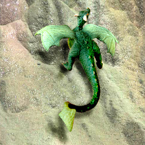 cool dragons green dragon climbing rock
