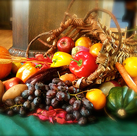 cornucopia photo