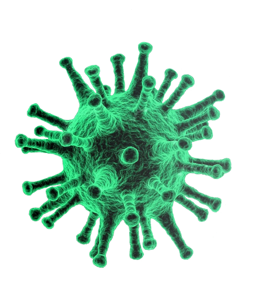 green corona virus clipart