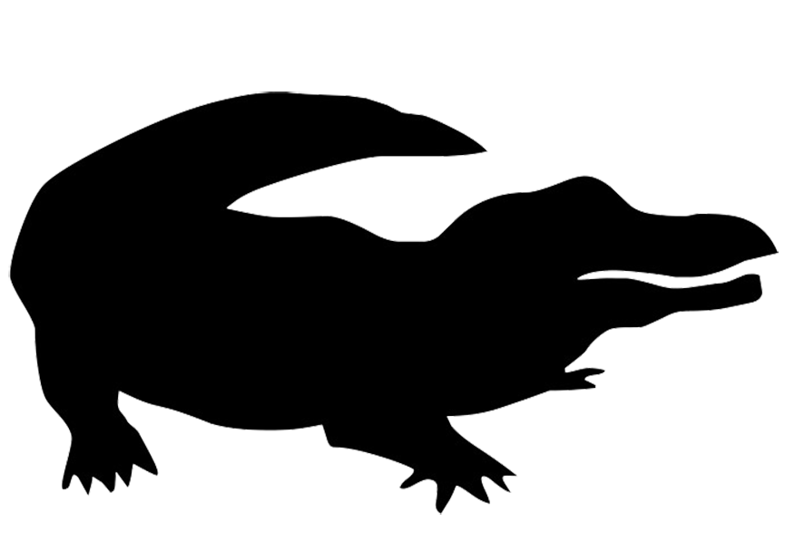 silhouette of crocodile