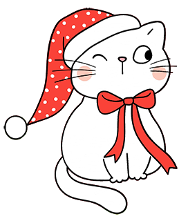 cute Christmas cat