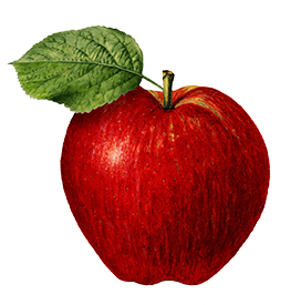 red delicious apple clipart