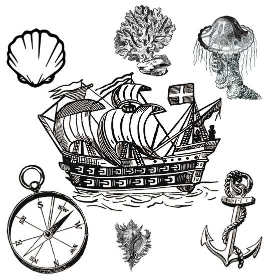 different nautical clipart
