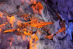 dinosaur fossil prehistoric