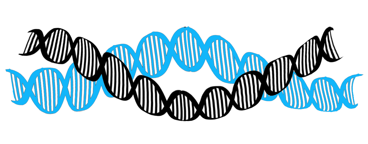 DNA strings