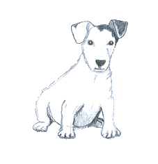 dog-clip-art-puppy-sketch