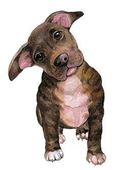 dog clipart cute dog