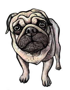 dog clipart 