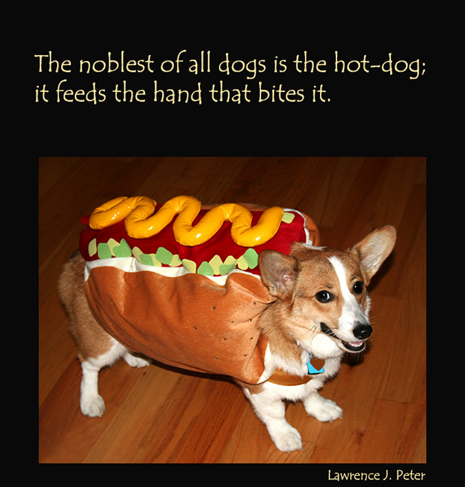 Hot dog picture quote