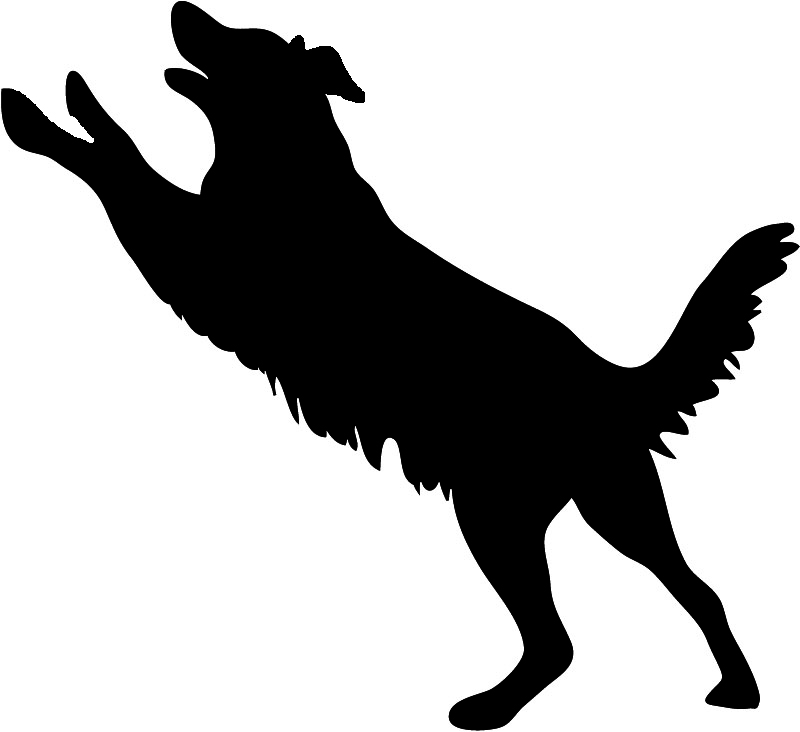 dog silhouette jumping