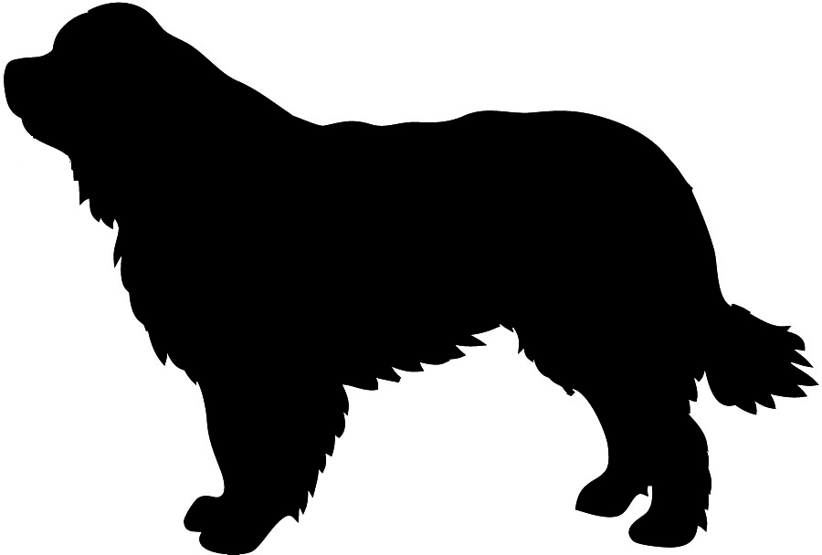 Newfoundlander silhouette dog