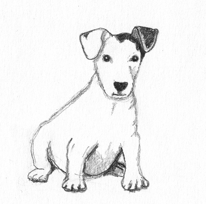 Black and White Pencil Drawings of German Shepherd Puppy - Johnson Theagre