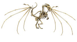 dragon skeleton