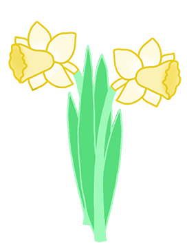 drawing of daffodils