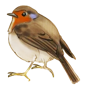 Drawing of a robin