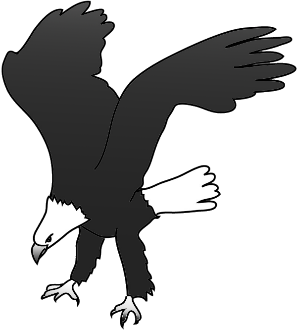 Bald eagle drawing landing for prey