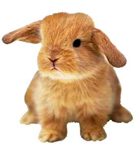 small evil Easter bunny clipart