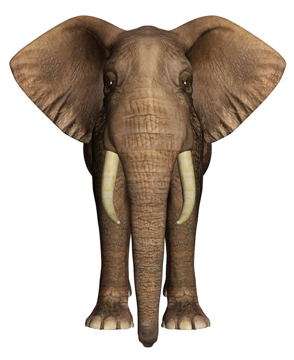 frontal clip art elephant