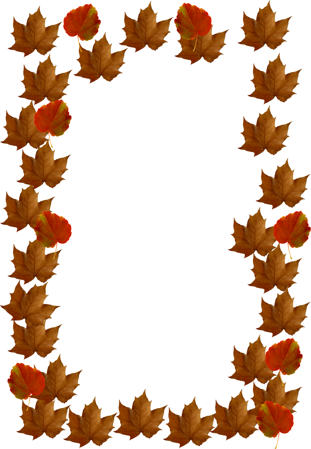 fall leaves border