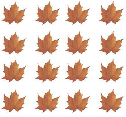 fall leaves clipart background