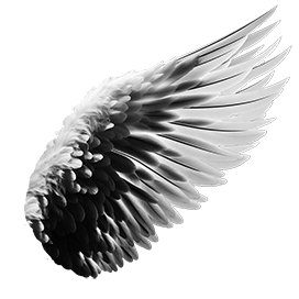 feathered angel wing clipart