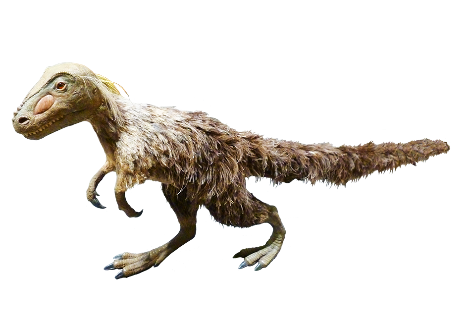 feathered dinosaur clipart