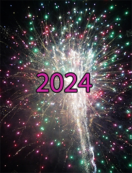 firework year 2023
