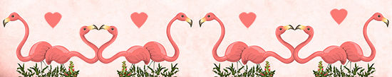 Valentine flamingo border