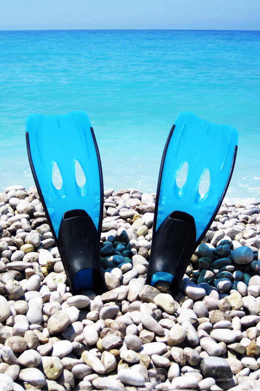 flippers on the stone beach
