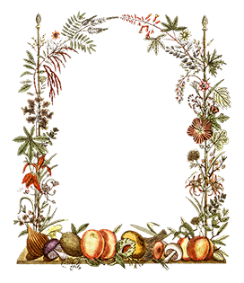 flower and fruit frame vintage