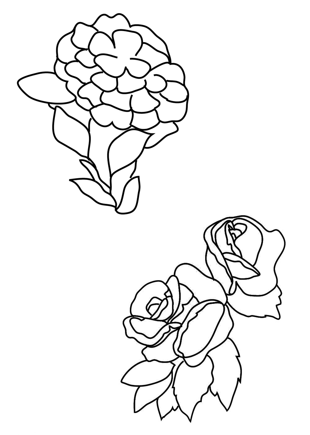 two different flower coloring pages