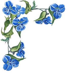 flower corner border blue flowers