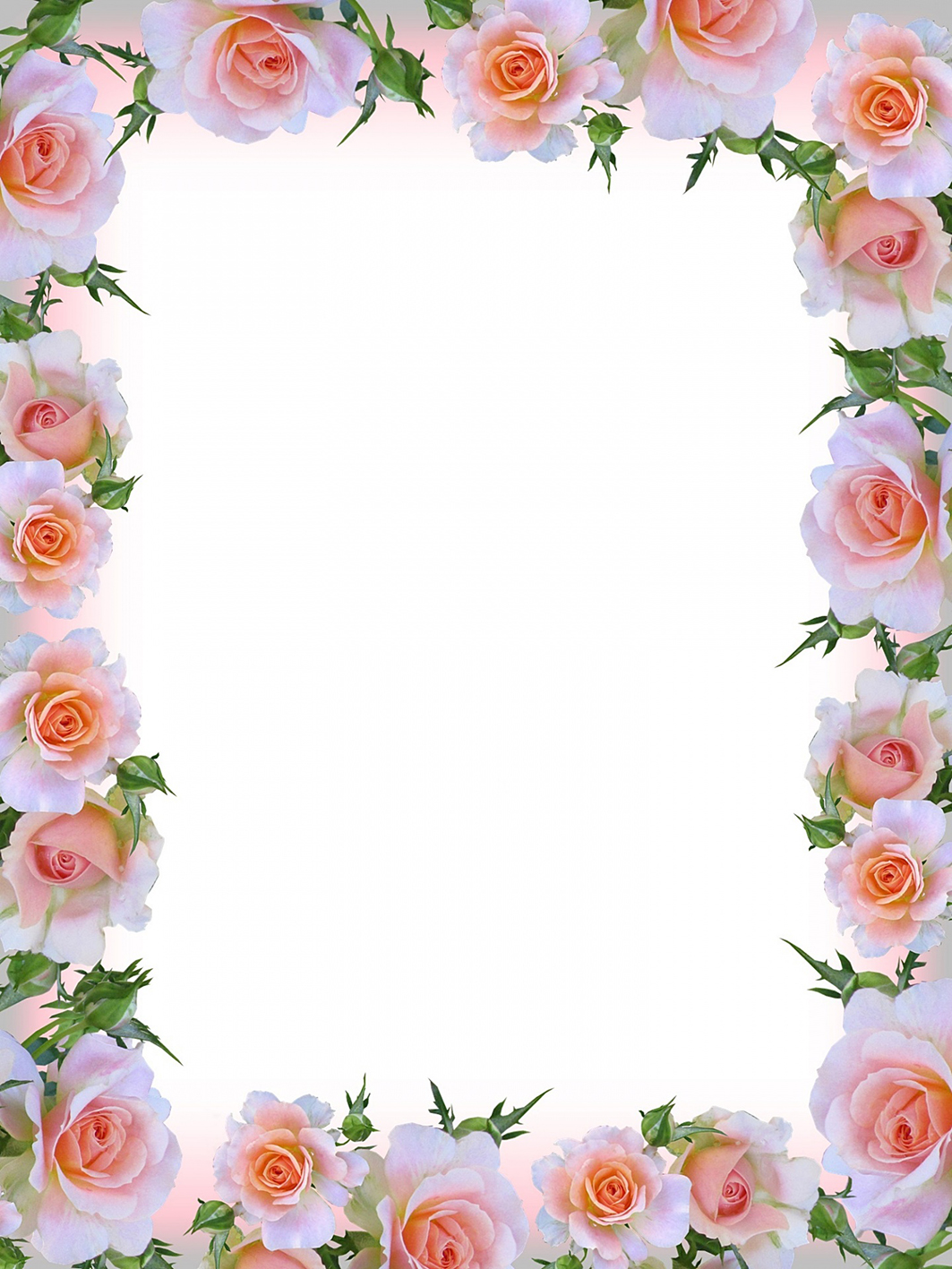 flower frame with pink roses