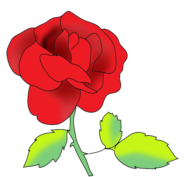 flower image gallery red rose